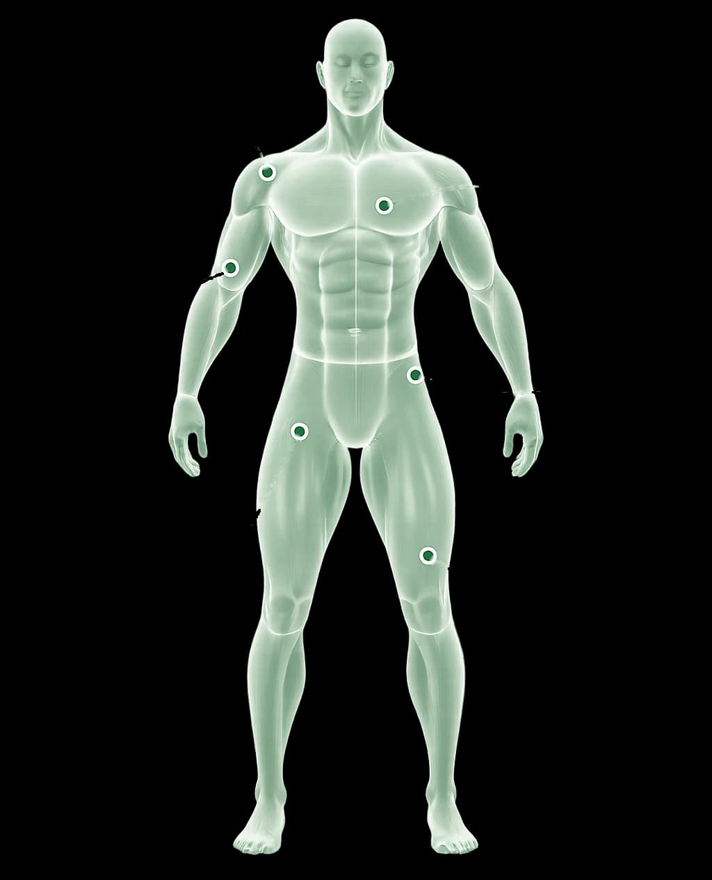 Body outline with six measurement points: shoulders, chest, arms, waist, glutes and legs
